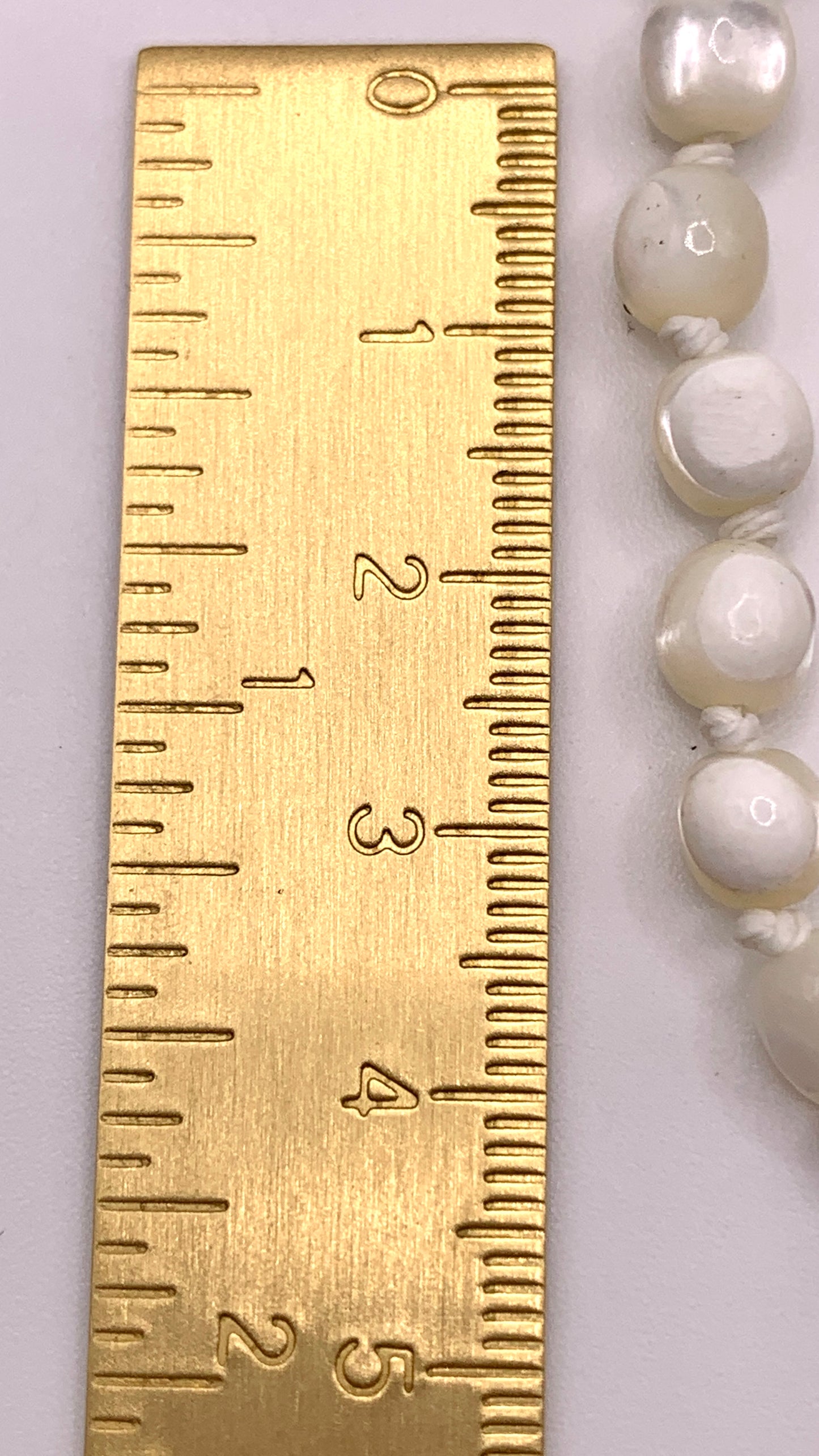 Kette Shell Heart AMM
