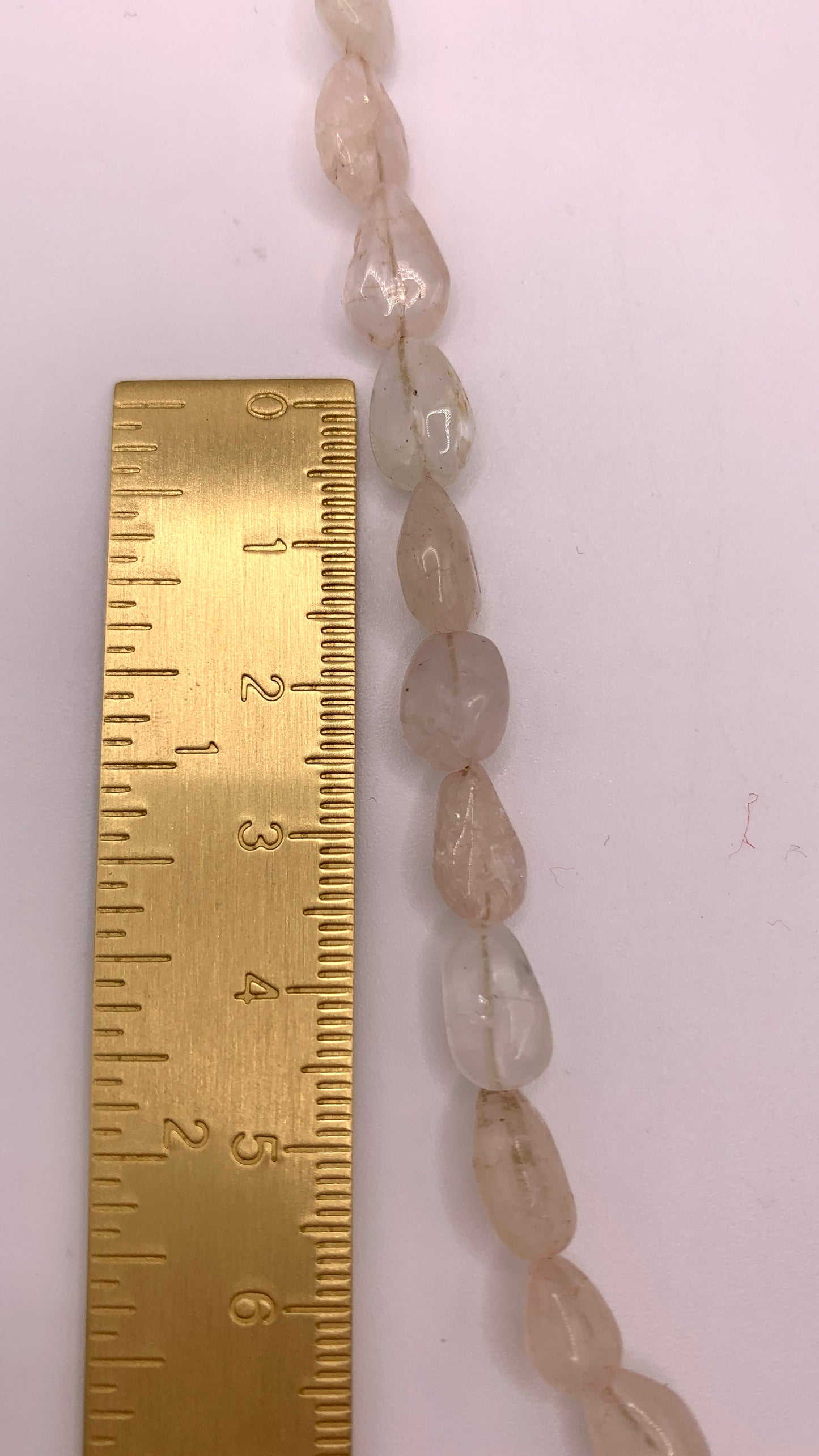 Kette Seashell AMM