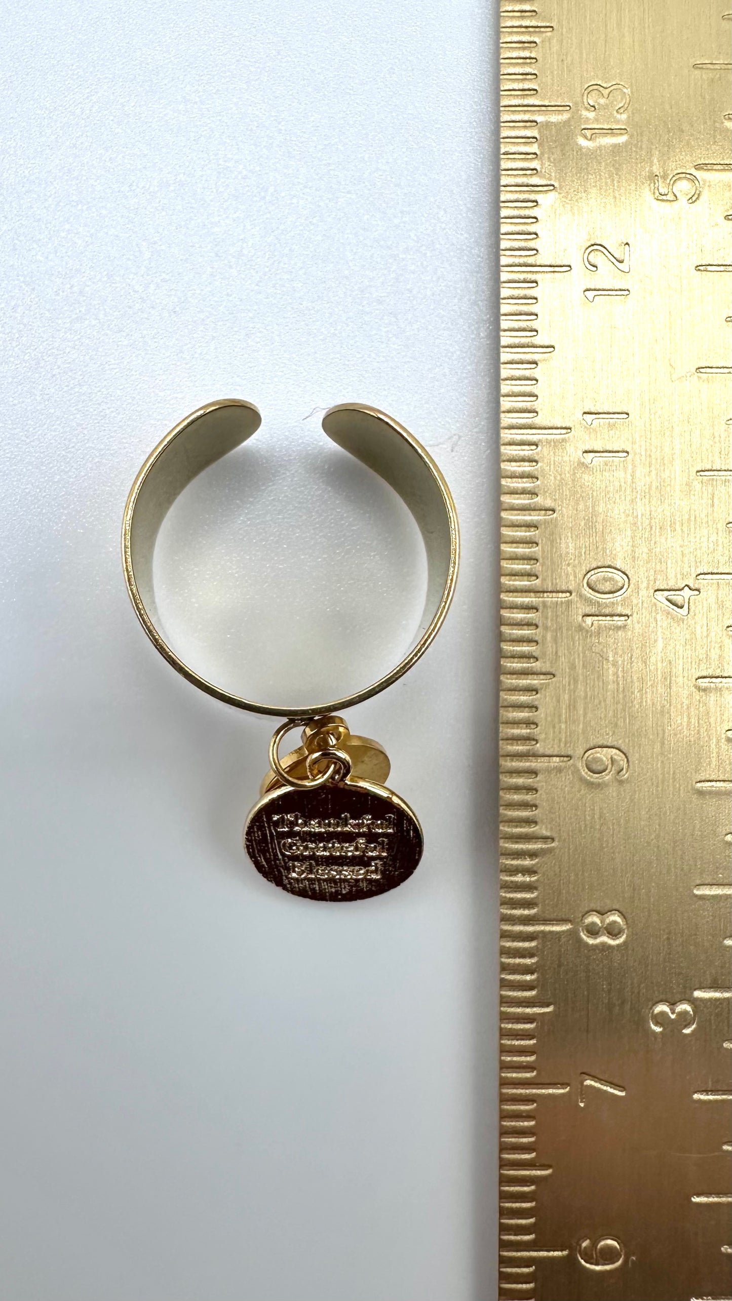 Ring Protected Moon AMA