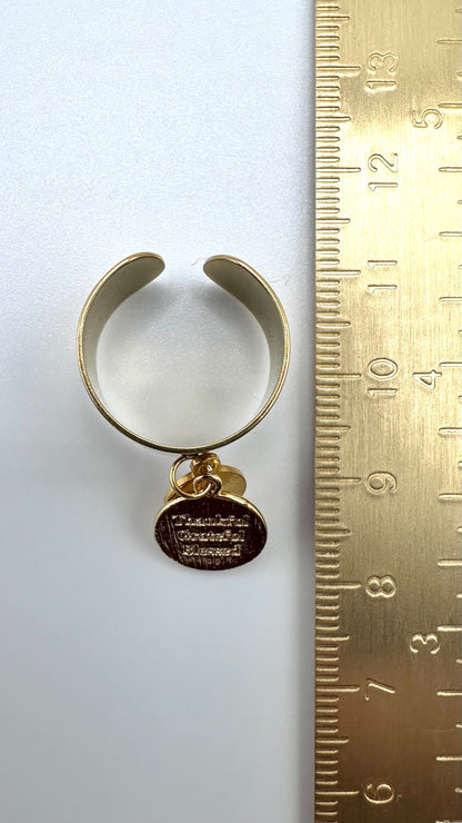 Ring Protected Moon AMA