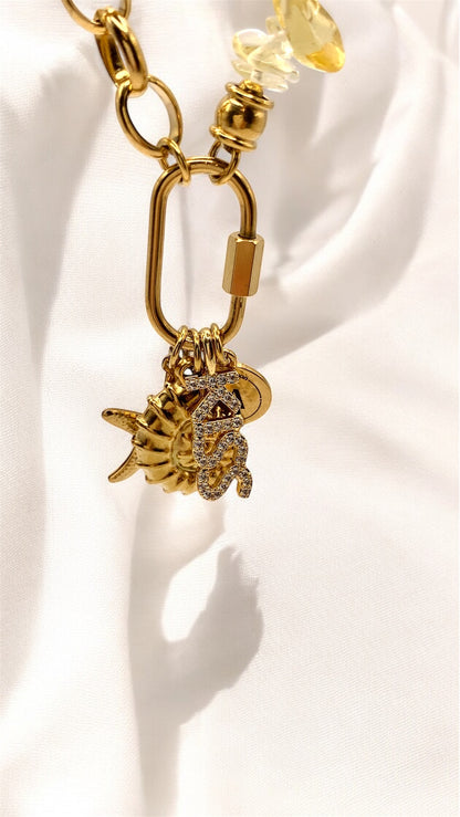 Kette Starfish and Snail AMM